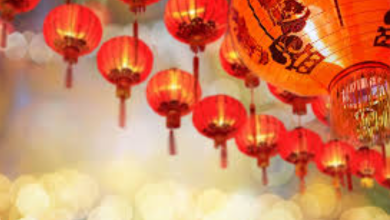 About The Holiday Chinese New Year 2025