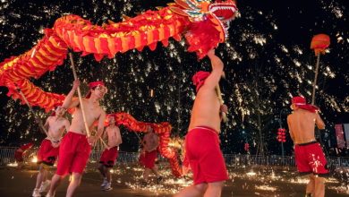 Activities for Chinese New Year 2025