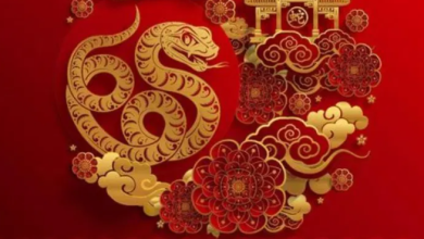 Background Chinese New Year 2025