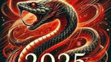 Bbc Chinese New Year 2025