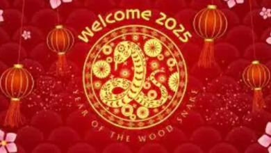 Chinese New Year Activities