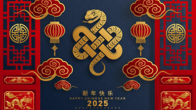 Chinese New Year Adidas 2025