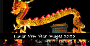 Lunar New Year Images 2025