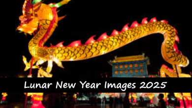 Lunar New Year Images 2025